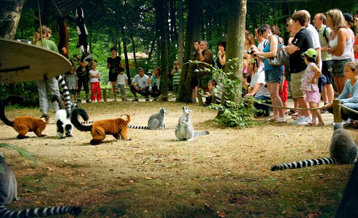 Camping du Futur