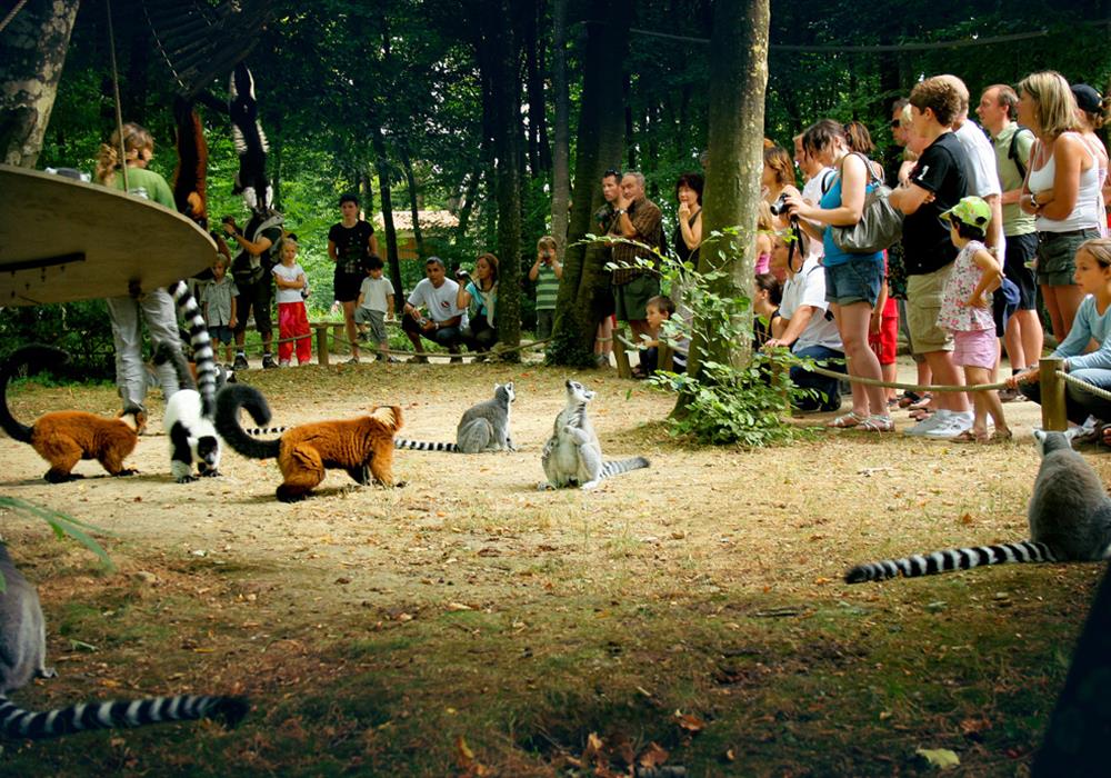 Camping du Futur